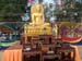 SAM_3146_resize