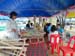 SAM_3262_resize