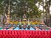 SAM_3341_resize