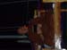SAM_3482_resize
