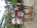 SAM_5023