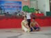 SAM_5492