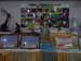 SAM_0379