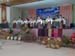 SAM_0590