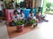 SAM_0603