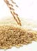 11700790-japonica-rice-Stock-Photo-rice-brown